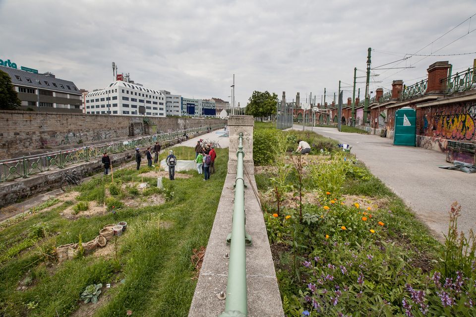 Foto © Gartenpolylog Foto