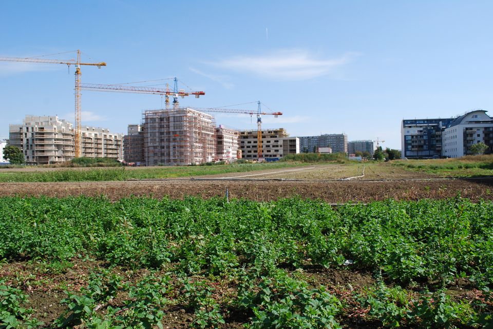 Foto © dérive Foto