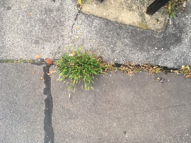 Foto: Lene Benz Foto: