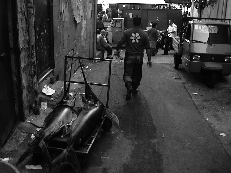 © Peter Waldenberger