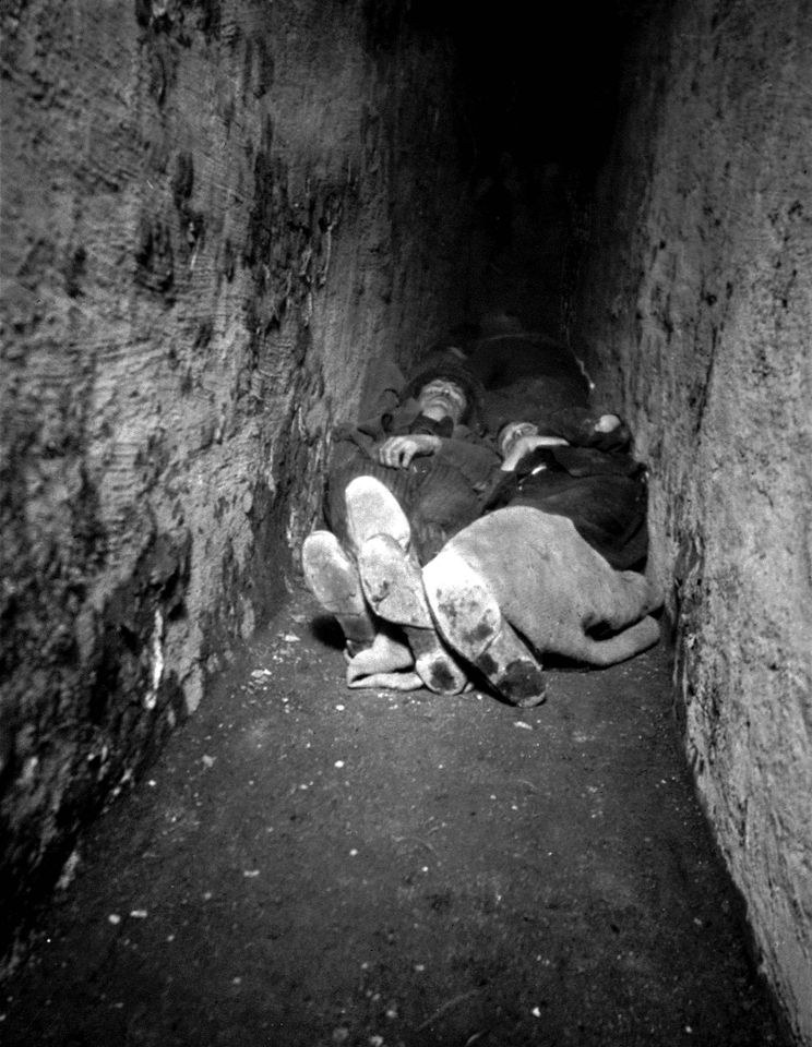 © Österreichisches Volkshochschularchiv‚