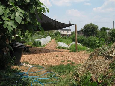 Mill Creek Farm, Foto: futurehousefarm.blogspot.com