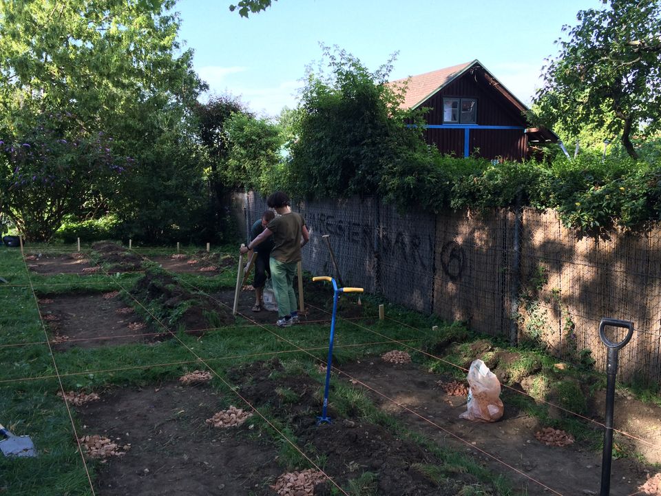 Der Bau des Gemeinschaftsgartens.